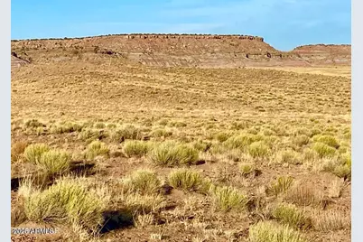 Carrizo Ranch Lot 297 41.17 Acres -- #-, Concho, AZ 85924 - Photo 19