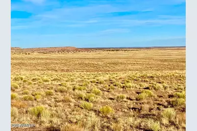 Carrizo Ranch Lot 297 41.17 Acres -- #-, Concho, AZ 85924 - Photo 21