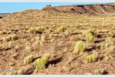 Carrizo Ranch Lot 297 41.17 Acres -- #-, Concho, AZ 85924 - Photo 3