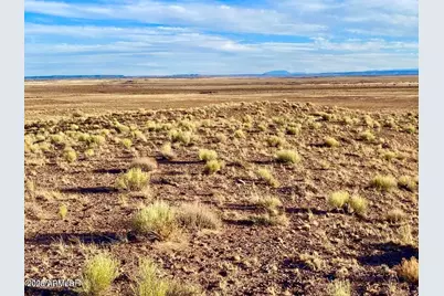 Carrizo Ranch Lot 297 41.17 Acres -- #-, Concho, AZ 85924 - Photo 23