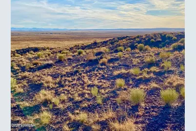 Carrizo Ranch Lot 297 41.17 Acres -- #-, Concho, AZ 85924 - Photo 25