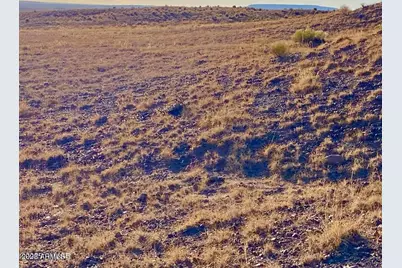 Carrizo Ranch Lot 297 41.17 Acres -- #-, Concho, AZ 85924 - Photo 13