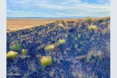 Carrizo Ranch Lot 297 41.17 Acres -- #-, Concho, AZ 85924 - Photo 5