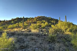 39332 N Old Stage Rd, Cave Creek, AZ 85331 - Photo 13