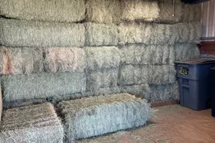 5706 S Kino Rd, Hereford, AZ 85615 - Photo 5