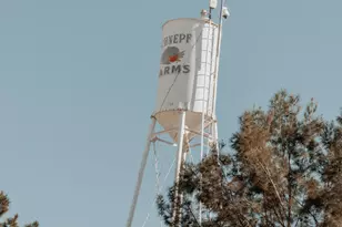 19699 E Apricot Ln, Queen Creek, AZ 85142 - Photo 51