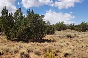 3908 71B Hidden Ranch Rd, Snowflake, AZ 85937 - Photo 1