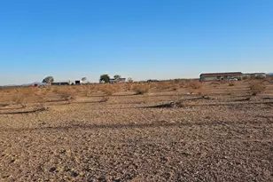 0 W Dobbins Rd, Arlington, AZ 85322 - Photo 1