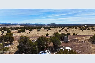 41 Antelope Avenue #464, Concho, AZ 85924 - Photo 1