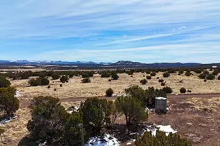 41 Antelope Ave, Concho, AZ 85924 - Photo 1