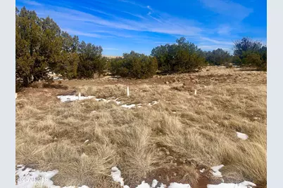 41 Antelope Avenue #464, Concho, AZ 85924 - Photo 9