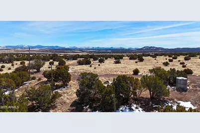 41 Antelope Avenue #464, Concho, AZ 85924 - Photo 3