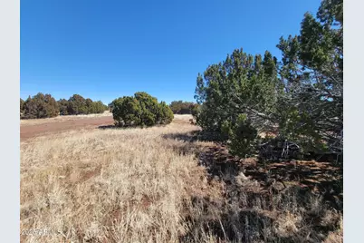 73 County Rd 8082 -- #-, Concho, AZ 85924 - Photo 5