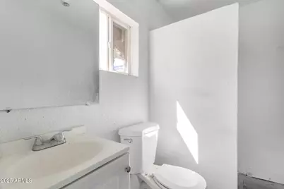 313 W Jones Avenue, Phoenix, AZ 85041 - Photo 15