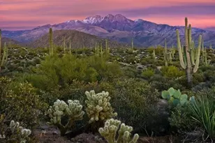 8262 E Vista De Valle, Scottsdale, AZ 85255 - Photo 35