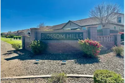 3914 E Constance Way, Phoenix, AZ 85042 - Photo 61