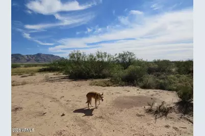 Tbd E Many Wells Rd 41 Acres -- #-, Portal, AZ 85632 - Photo 13