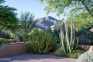 41509 N 106th St, Scottsdale, AZ 85262 - Photo 33