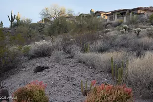 12445 N Via La Playa --, Fountain Hills, AZ 85268 - Photo 59