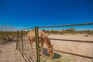 11954 N Hazeldine, Casa Grande, AZ 85194 - Photo 39