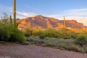 10860 E Cactus View Cir, Gold Canyon, AZ 85118 - Photo 1