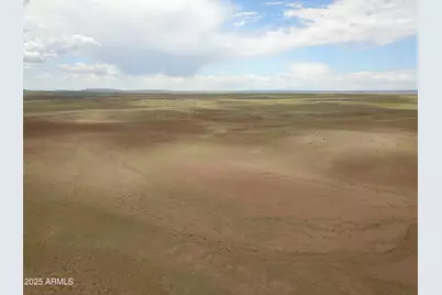 Tbd 45 Acres At Carrizo Ranch -- #409, Saint Johns, AZ 85936 - Photo 3