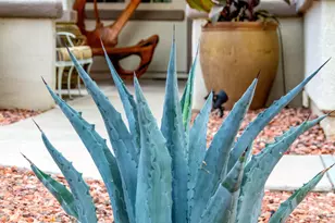 12945 W El Sueno Ct, Sun City West, AZ 85375 - Photo 7