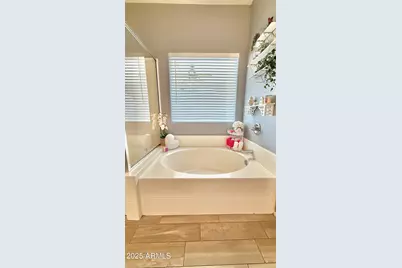 313 S 120th Avenue, Avondale, AZ 85323 - Photo 45