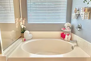 313 S 120th Ave, Avondale, AZ 85323 - Photo 45