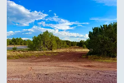 180 Co Rd 3148 Lot #1 2.1 Acres --, Vernon, AZ 85940 - Photo 23