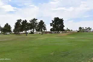 26451 S Hogan Dr, Sun Lakes, AZ 85248 - Photo 41