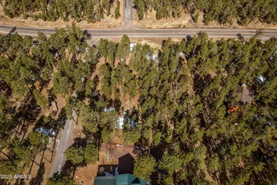 3 County Road N1062 -- #4, Greer, AZ 85927 - Photo 13