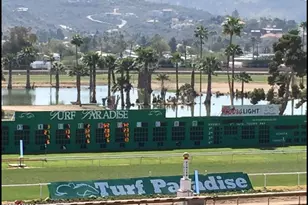 17241 N 16th Dr, Phoenix, AZ 85023 - Photo 29