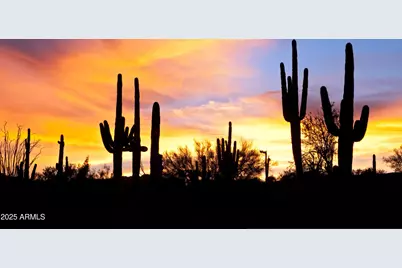 15634 E Sycamore Drive, Fountain Hills, AZ 85268 - Photo 55