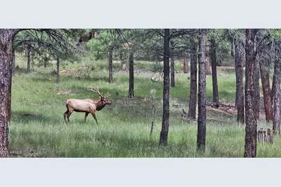 2679 Hopi Drive, Happy Jack, AZ 86024 - Photo 1