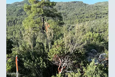 Xx E Privateer Road #-, Crown King, AZ 86343 - Photo 13
