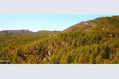 Xx E Privateer Road #-, Crown King, AZ 86343 - Photo 15