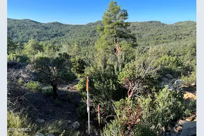 Xx E Privateer Road #-, Crown King, AZ 86343 - Photo 1