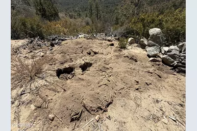 Xx E Privateer Road #-, Crown King, AZ 86343 - Photo 7