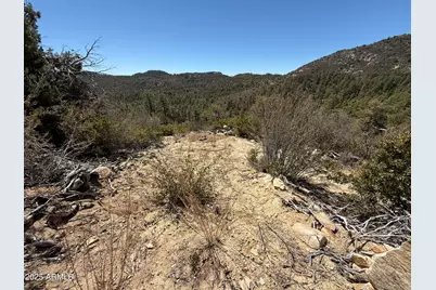 Xx E Privateer Road #-, Crown King, AZ 86343 - Photo 5