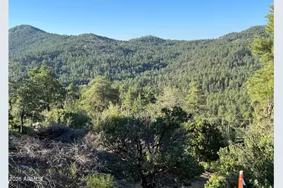 Xx E Privateer Road #-, Crown King, AZ 86343 - Photo 11