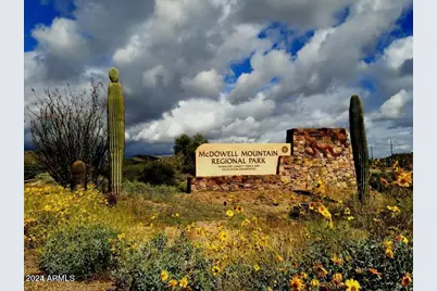 29806 N 155th Street, Scottsdale, AZ 85262 - Photo 37