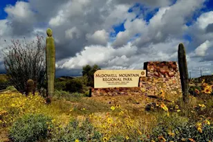 29806 N 155th St, Scottsdale, AZ 85262 - Photo 37