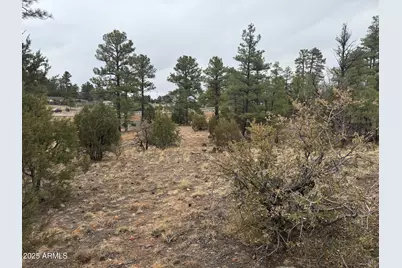 40 Timber Ridge Loop #40, Show Low, AZ 85901 - Photo 15