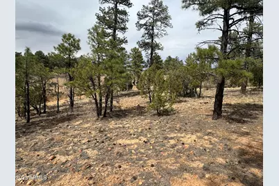 40 Timber Ridge Loop #40, Show Low, AZ 85901 - Photo 7
