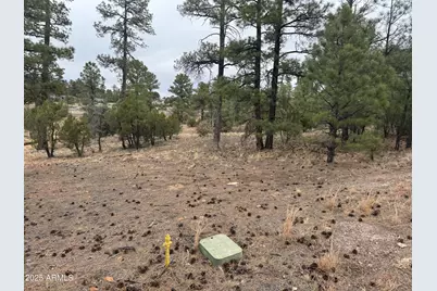 40 Timber Ridge Loop #40, Show Low, AZ 85901 - Photo 1