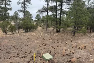 40 Timber Ridge Loop, Show Low, AZ 85901 - Photo 1