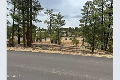 40 Timber Ridge Loop #40, Show Low, AZ 85901 - Photo 5