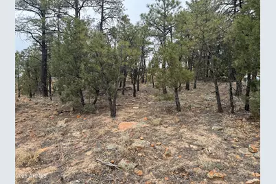 40 Timber Ridge Loop #40, Show Low, AZ 85901 - Photo 19