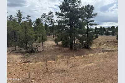 40 Timber Ridge Loop #40, Show Low, AZ 85901 - Photo 11